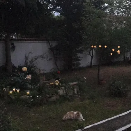 Nikoli Luxury Full House With Garden * Xylokastro